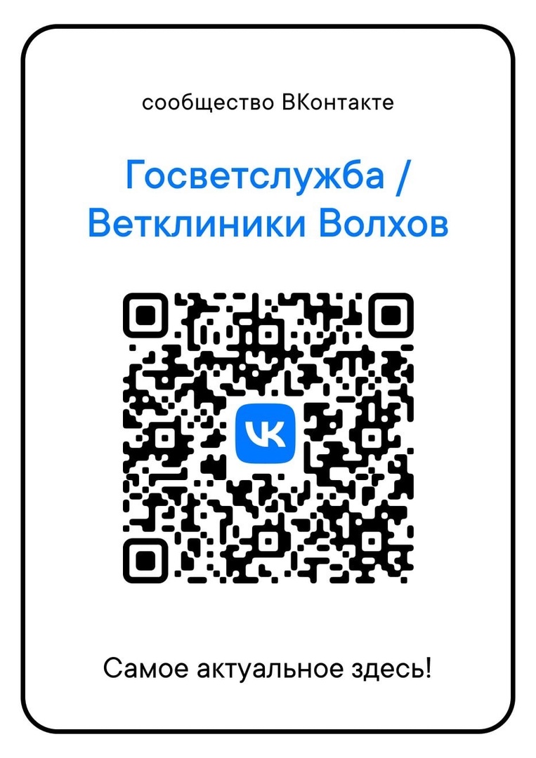 ГБУ ЛО «СББЖ Волховского и Киришского районов» - Новости и Работа Учреждения